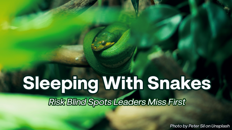 Sleeping With Snakes. Risk Blind Spots Leaders Miss First
